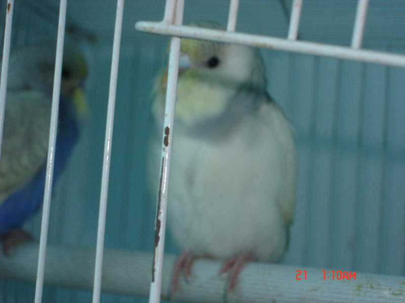 DSC03591.jpg