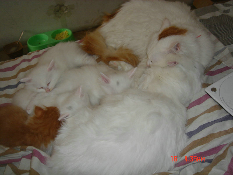DSC04050.JPG