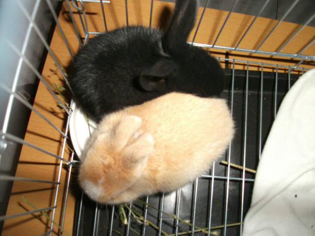 DSCF2199.jpg