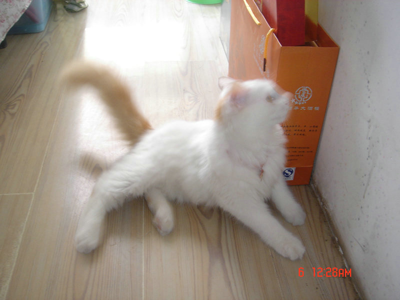 DSC03556.JPG