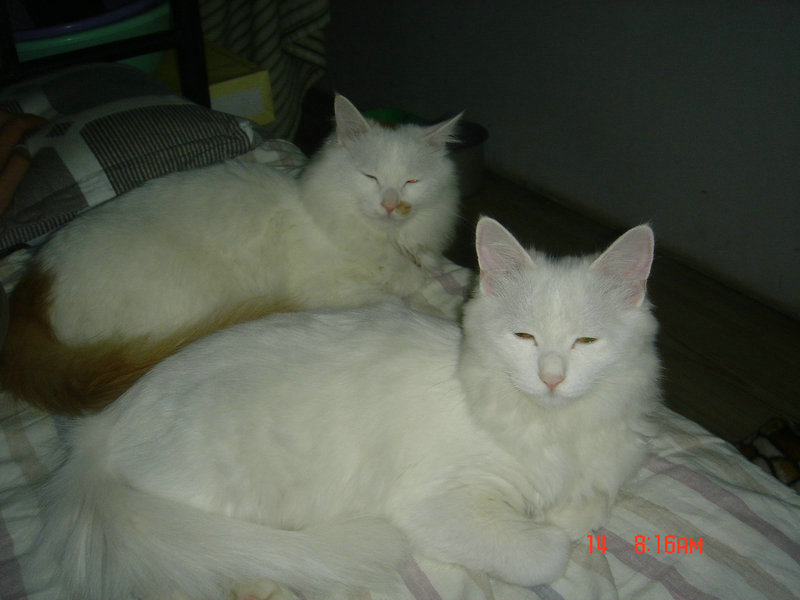DSC03631.JPG