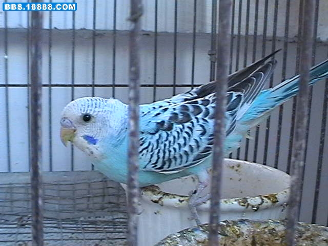 IMGA0227.JPG