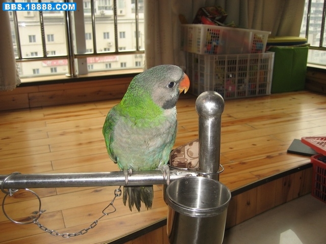 复件 IMG_08124.jpg