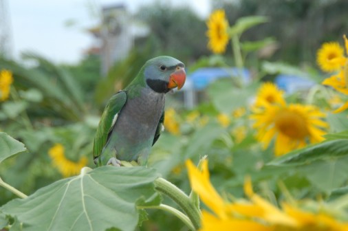 20100715.jpg