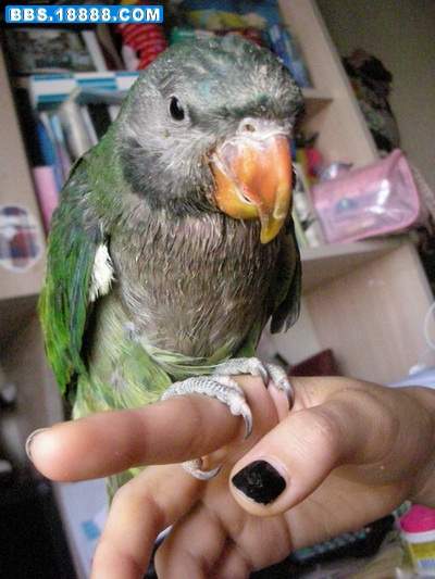 DSCN9847_调整大小_调整大小.JPG