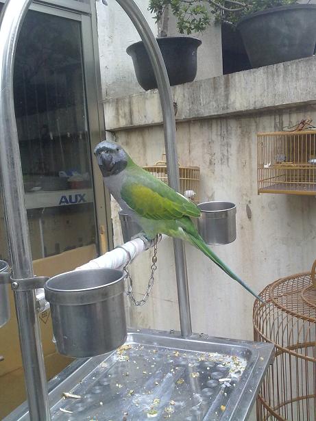 20101024200.jpg