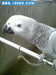 IMG0024A.jpg