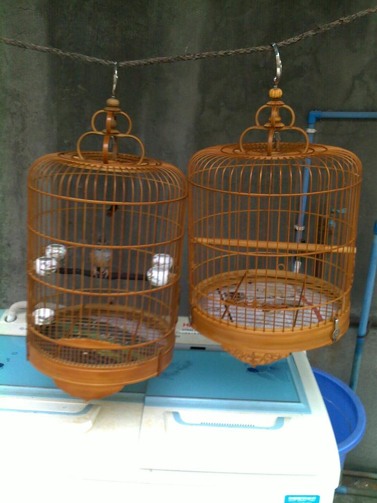 20101013370.jpg