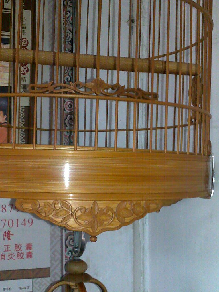 20101013356.jpg