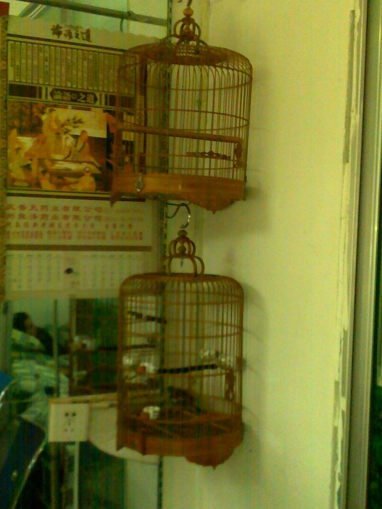 20101013353.jpg