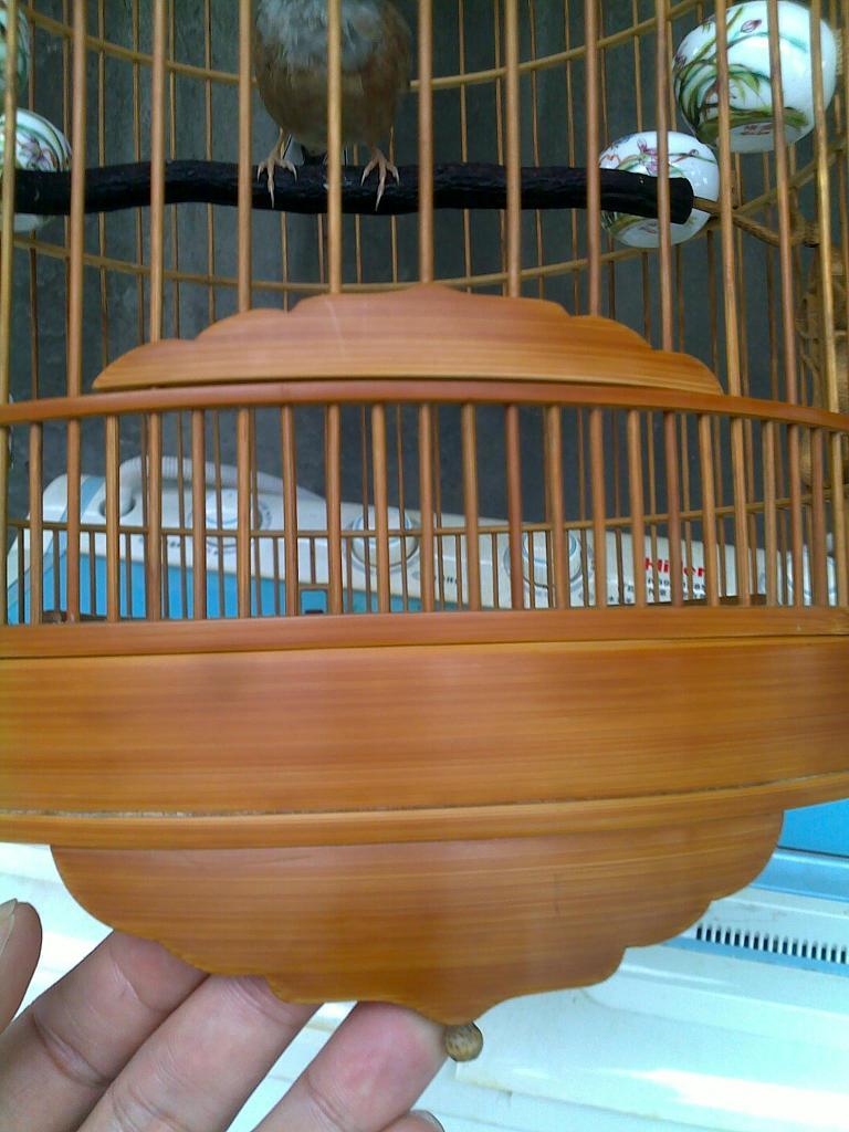 20101013366.jpg