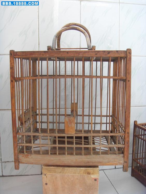 SDC12126.JPG