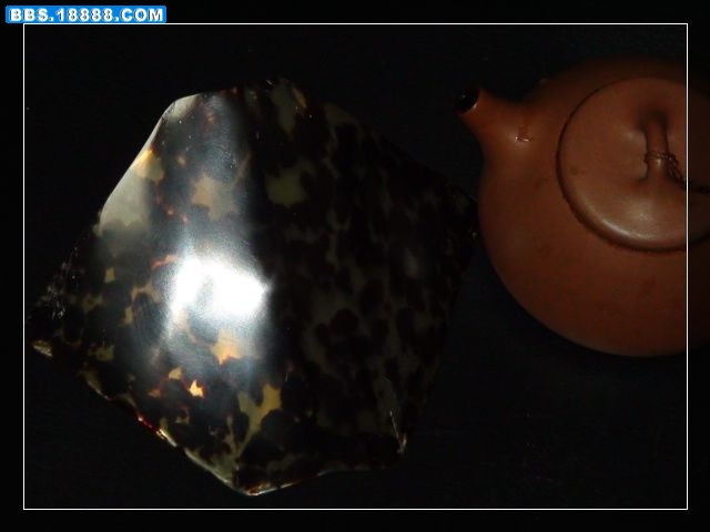 DSC04889.JPG