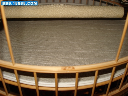 DSC02455.JPG