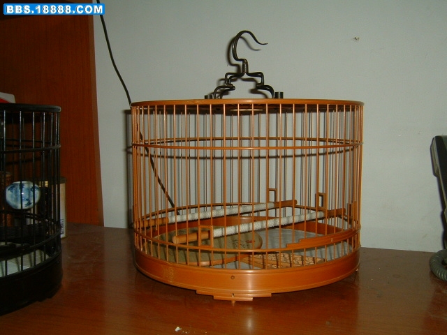 DSCF0009.JPG