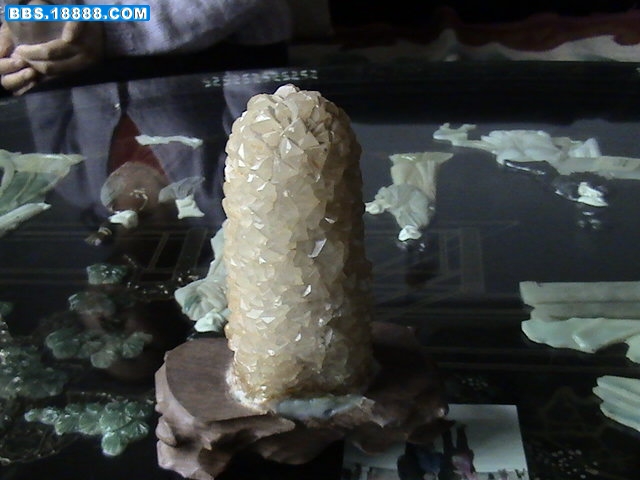 DSC01592.JPG
