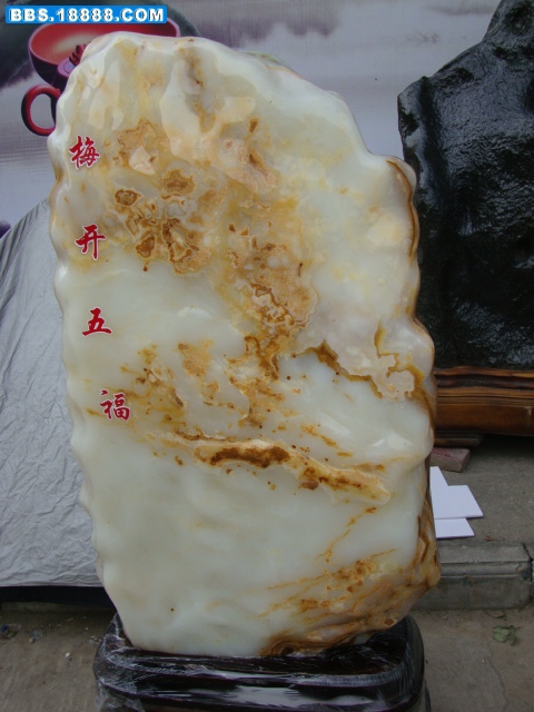 DSC03370.JPG
