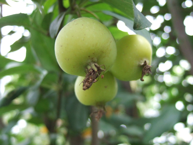 DSCF5914.JPG