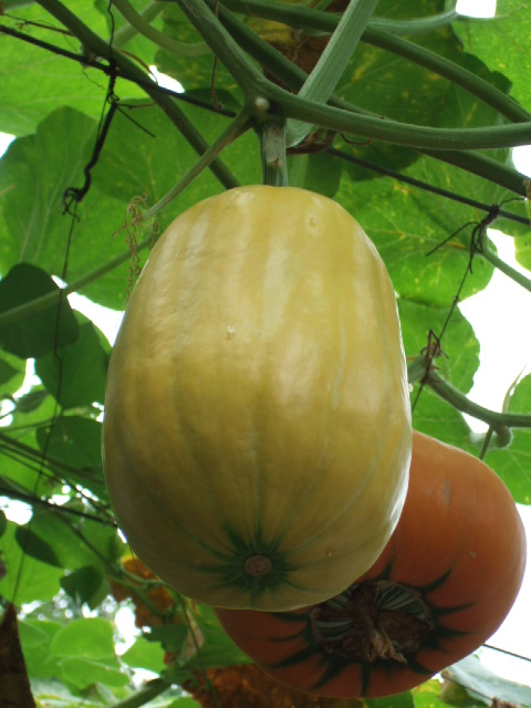 DSCF3957.JPG