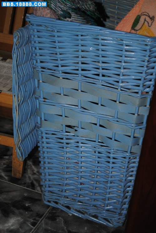 DSC_0040.jpg