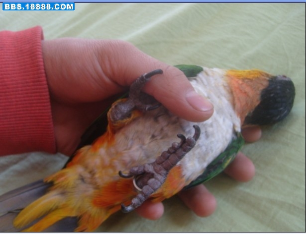 QAF7A$LD[BMG}IU0E$H)P`M.jpg