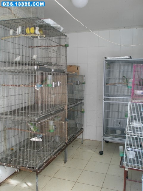 PA160044.JPG