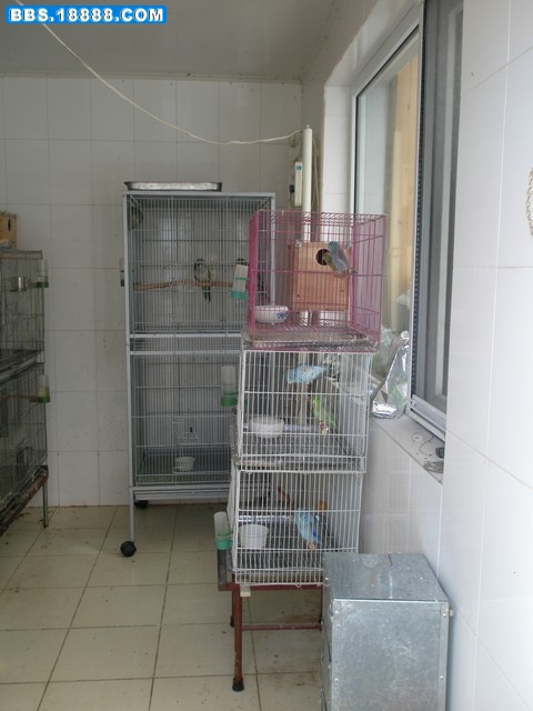 PA160045.JPG
