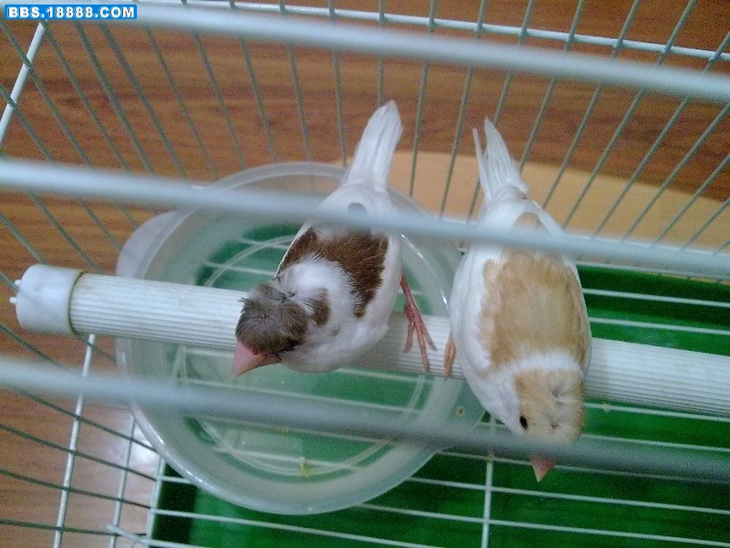 20100414449.jpg
