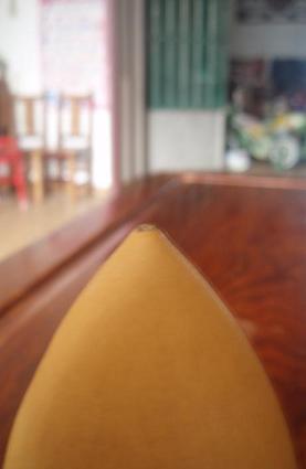 P1010003.JPG