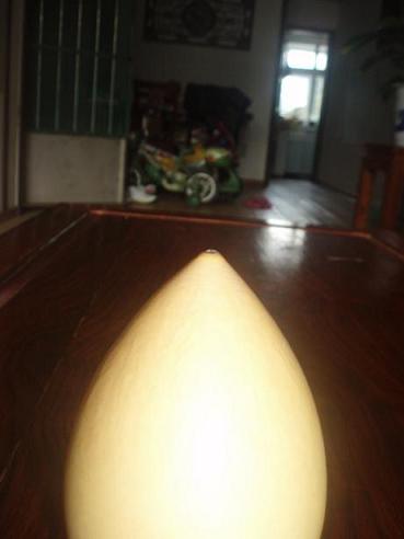 P1010006.JPG
