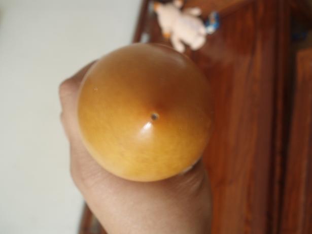 P1010007.JPG