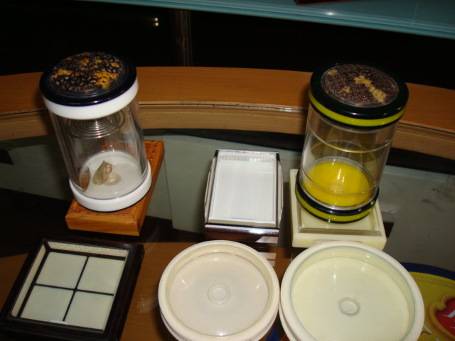 DSC00754.JPG