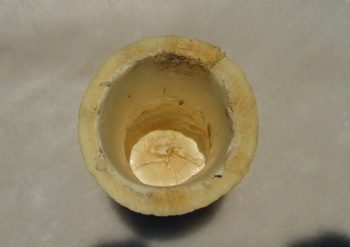 DSC03897.jpg