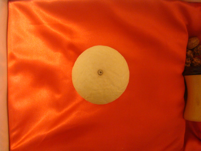 DSC01095.JPG