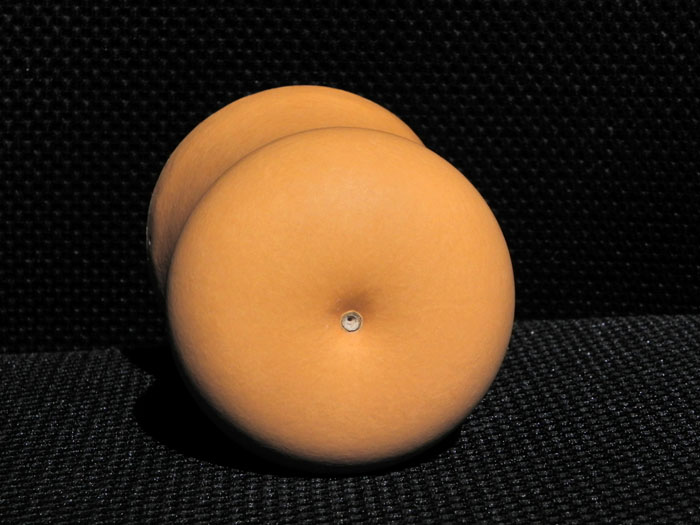 DSCN0574.jpg