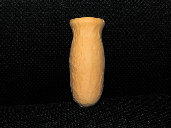 DSCN0624.jpg