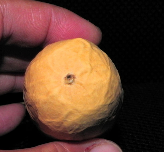 DSCN0622.jpg
