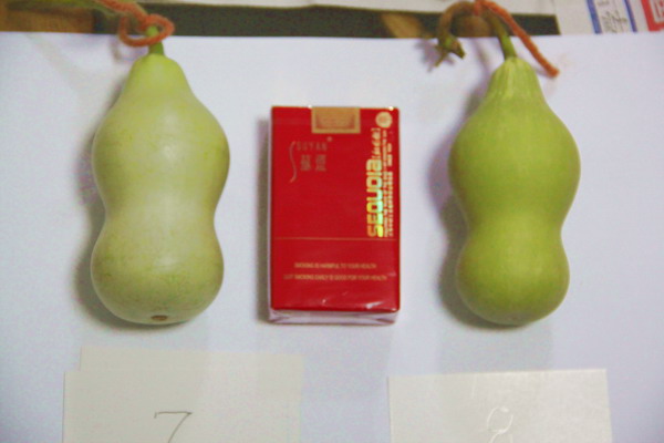 照片 7.JPG