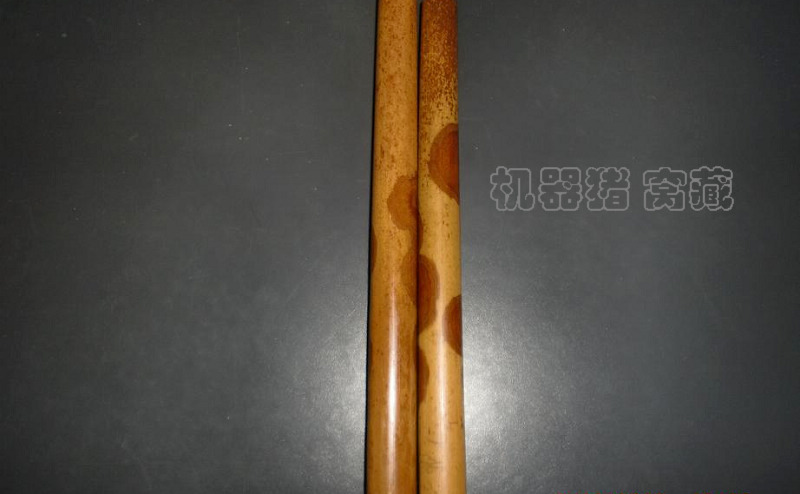 老料B.jpg