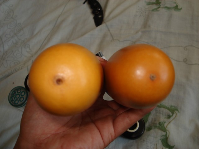 DSC03832.JPG
