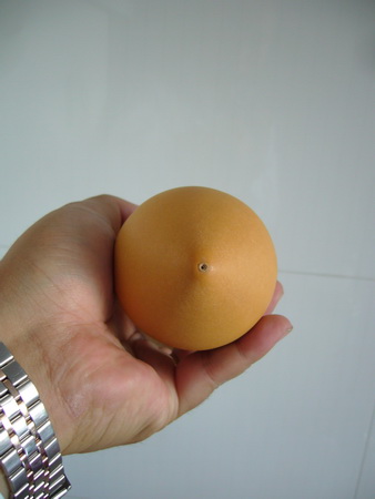 P1200566_调整大小.JPG