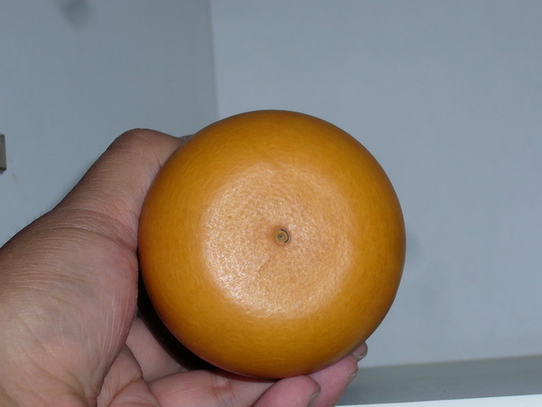 P1200478_调整大小.JPG