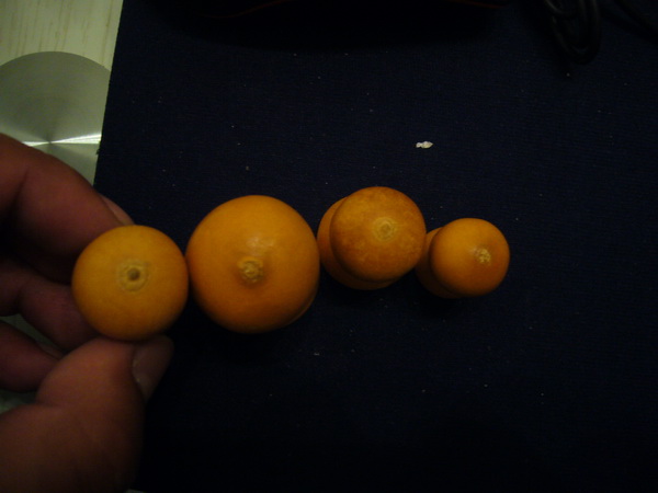 P1200434_调整大小.JPG