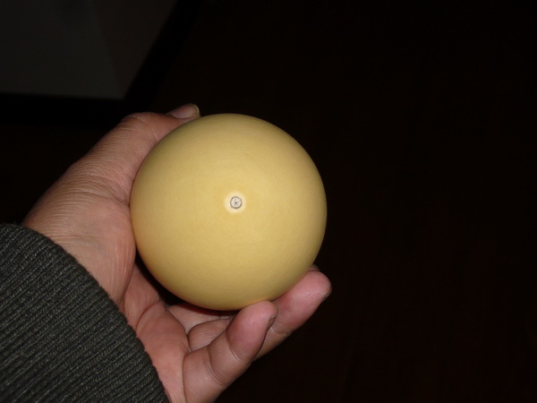P1200751_调整大小.JPG