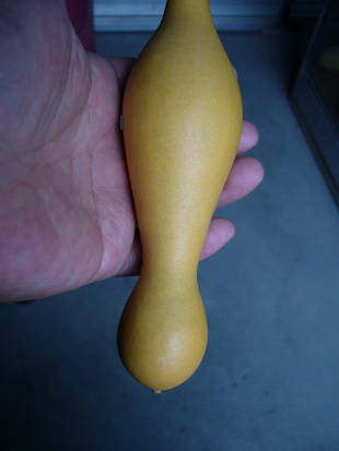 P1200346_调整大小.JPG