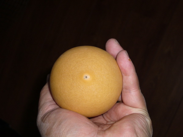 P1210012_调整大小.JPG