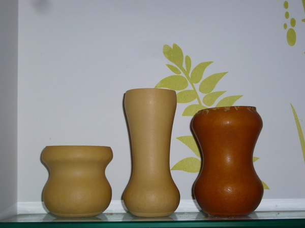 P1200987_调整大小.JPG