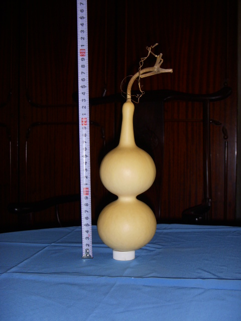 照片 043.jpg