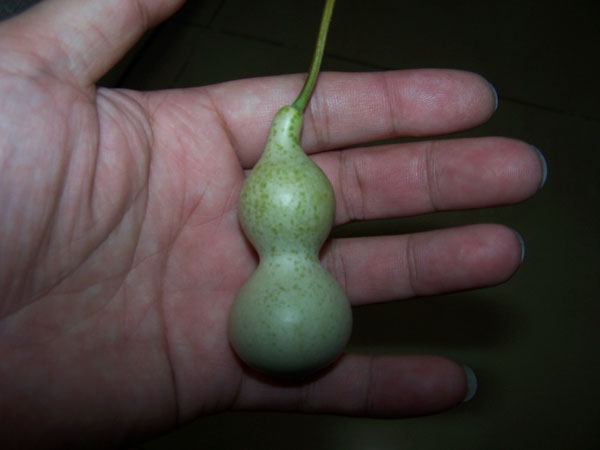 照片 011.jpg