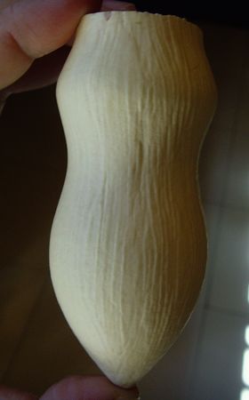 SNV34524.JPG
